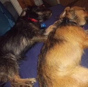 Meet your Posher, Alicia